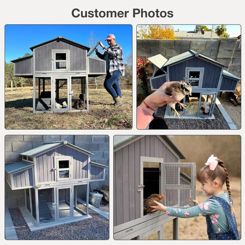 Compact Foldable Chicken Coop With Two Nesting Boxes