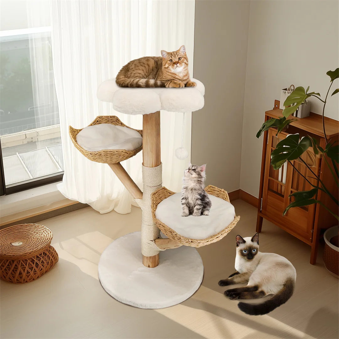 BINGOPAW Modern Cat Climbing Tree With Solid Wood Scratching Post