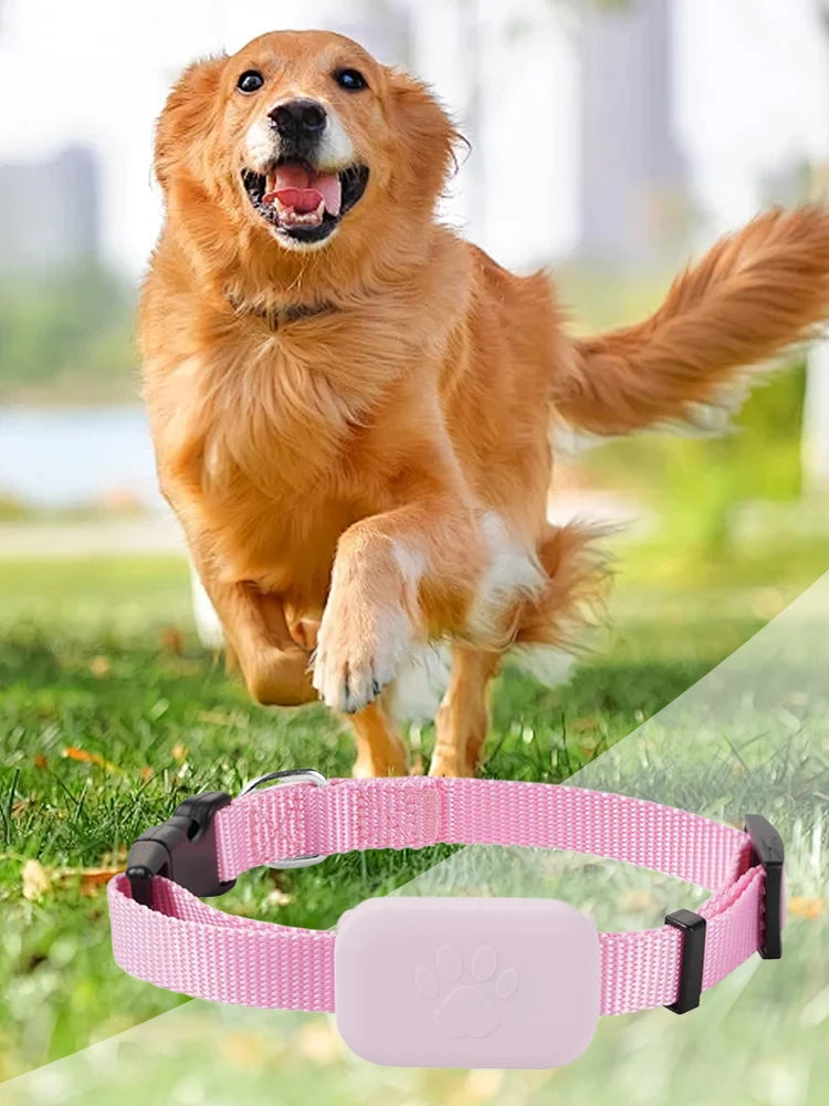 Pet GPS Tracker With Adjustable Collar Cat Locator For Cats