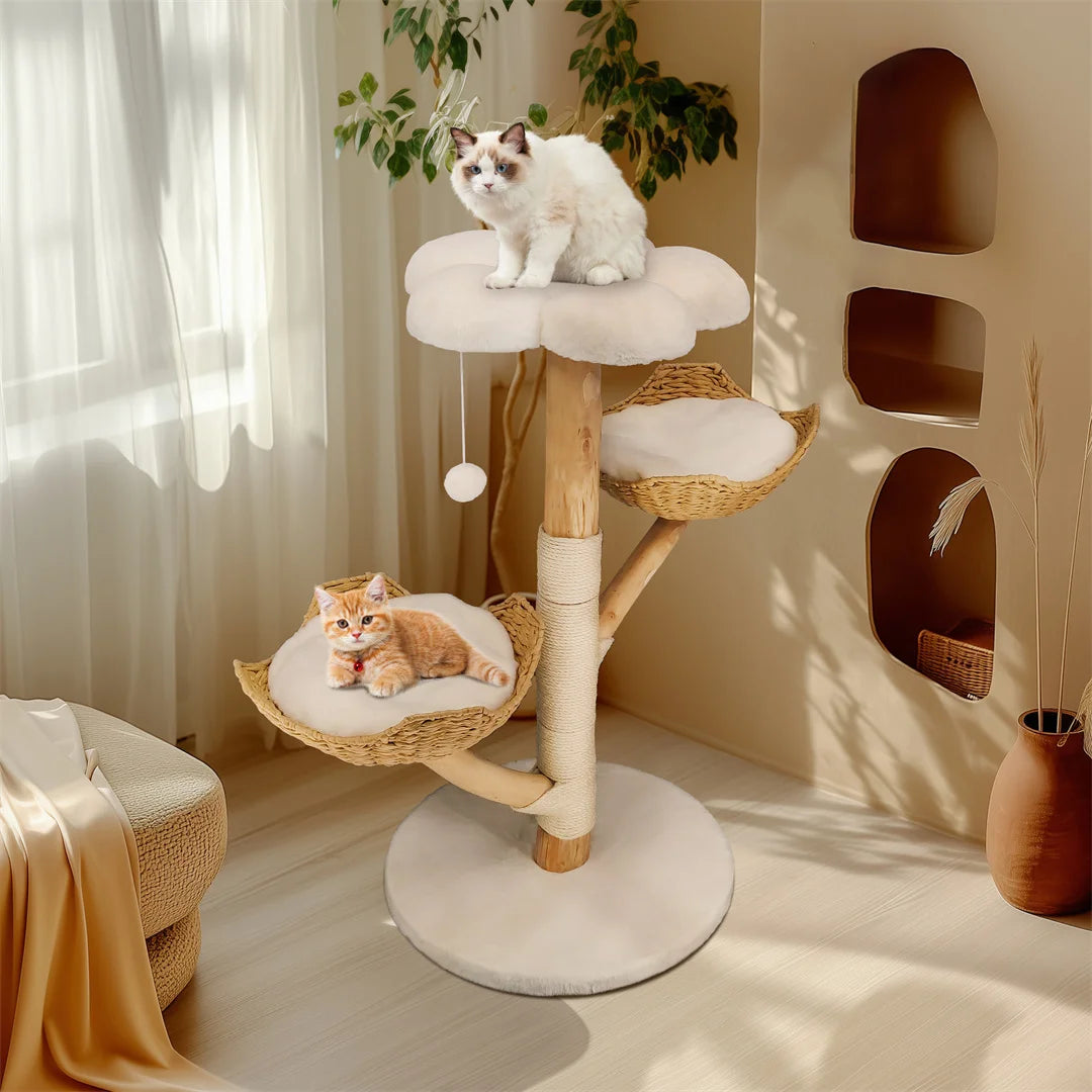 BINGOPAW Modern Cat Climbing Tree With Solid Wood Scratching Post