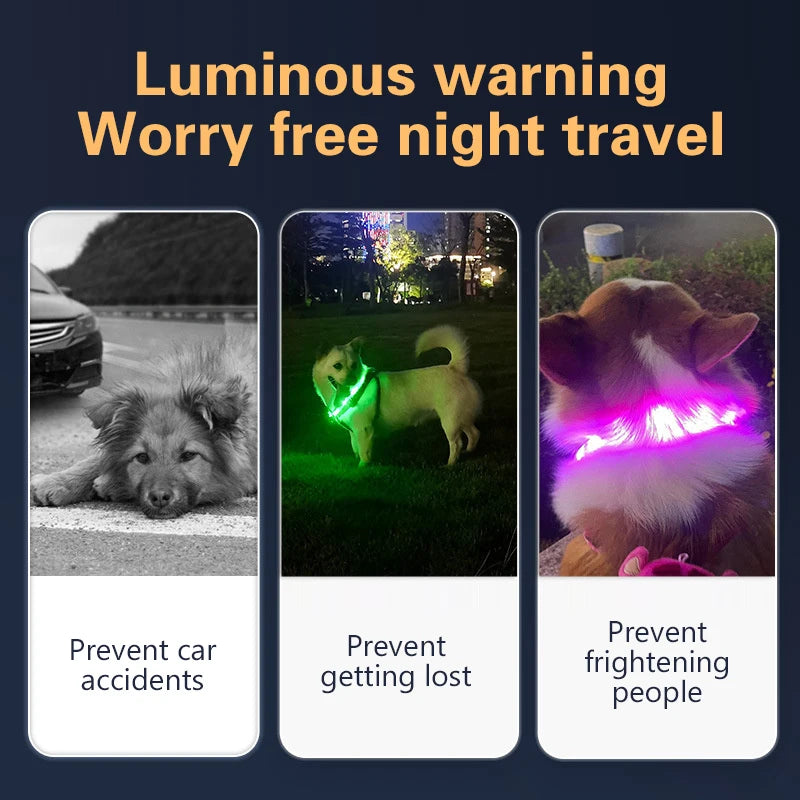 Led Dog Collar USB Rechargeable Luminous Pet Accessory with 3 Modes Glowing Light for Safety and Loss Prevention