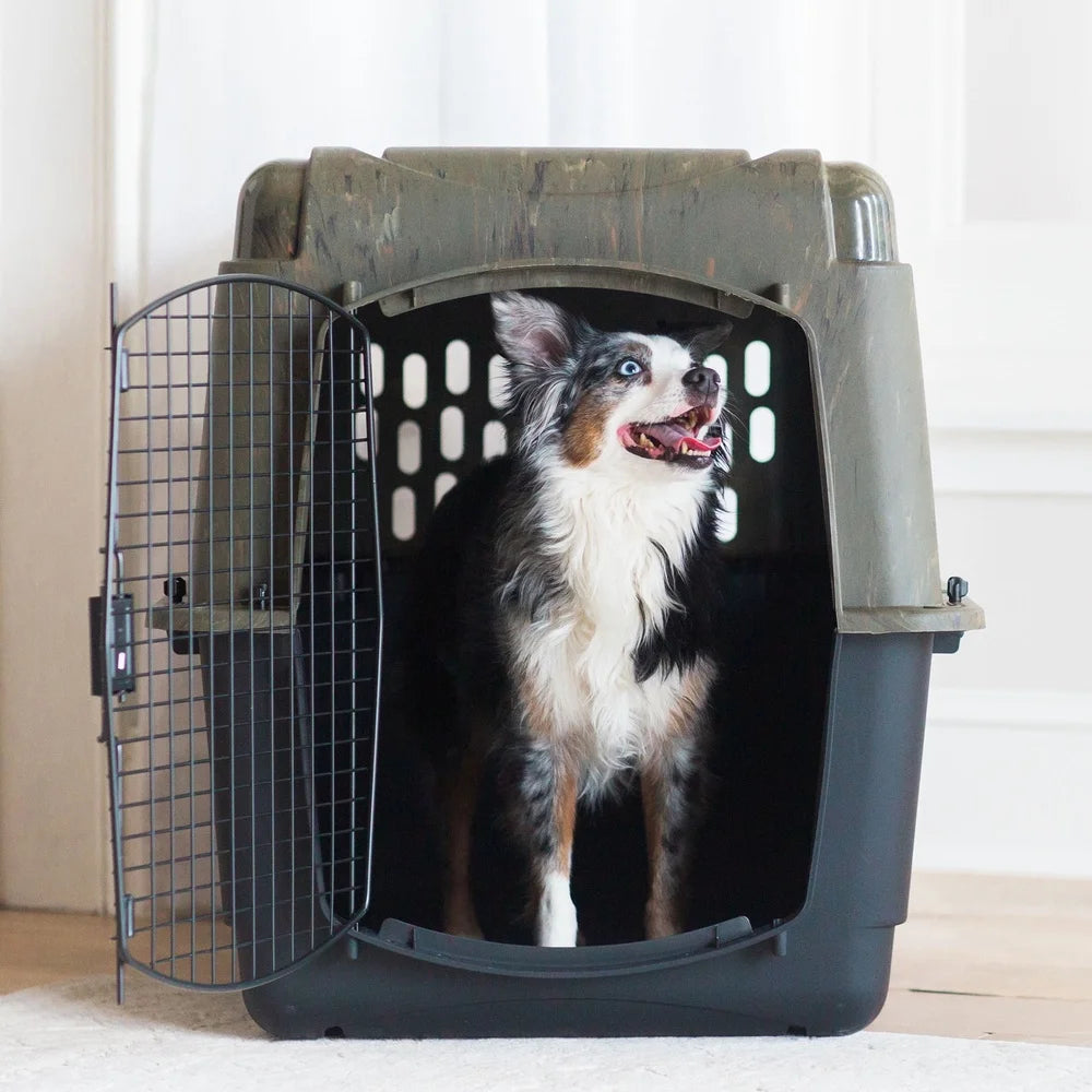Large Plastic Dog Kennel Outdoor Indoor Pet Carrier Crate with 360 Degree Ventilation for Dogs 70 to 90 Pounds Portable Travel Dog House