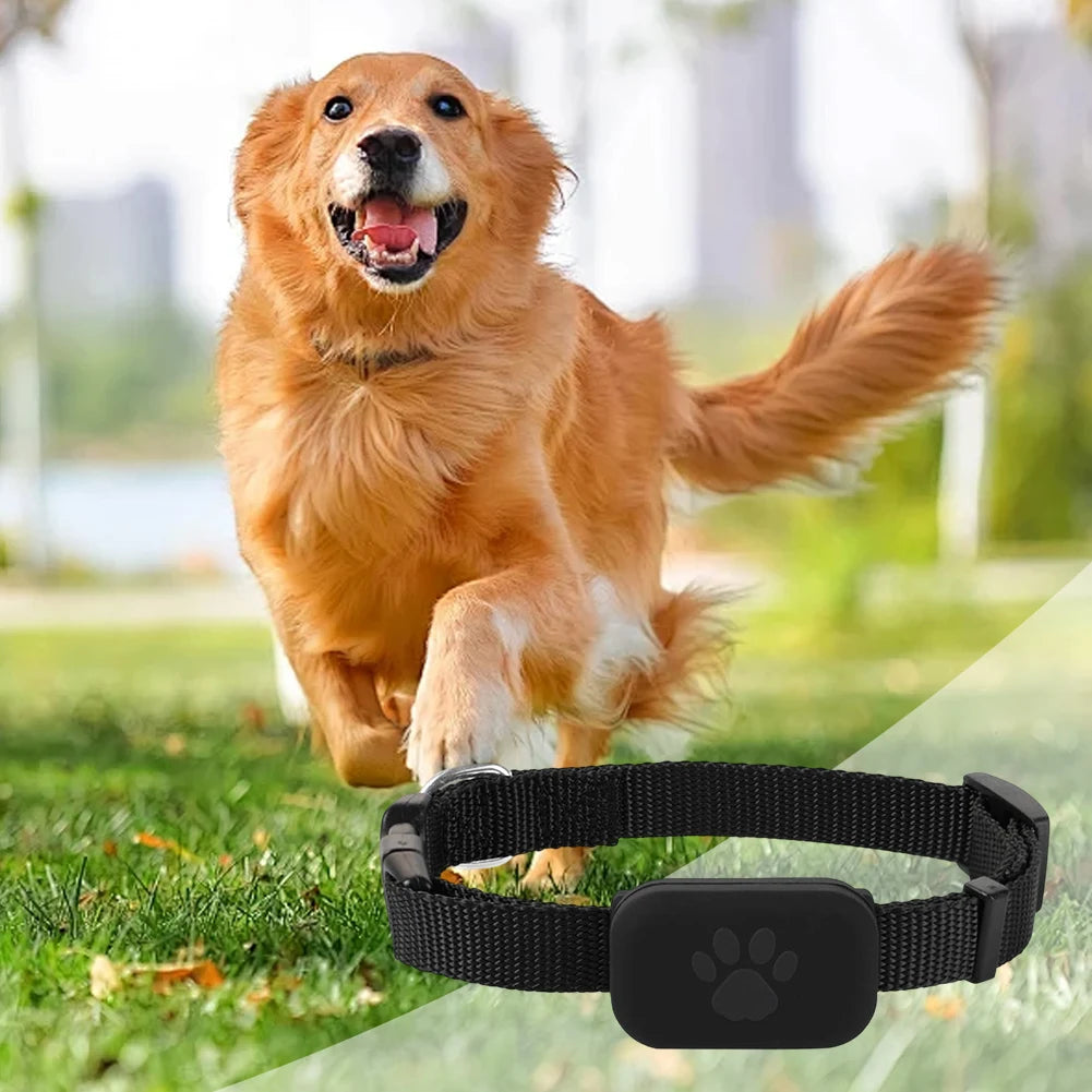 Pet GPS Tracker With Adjustable Collar Cat Locator For Cats