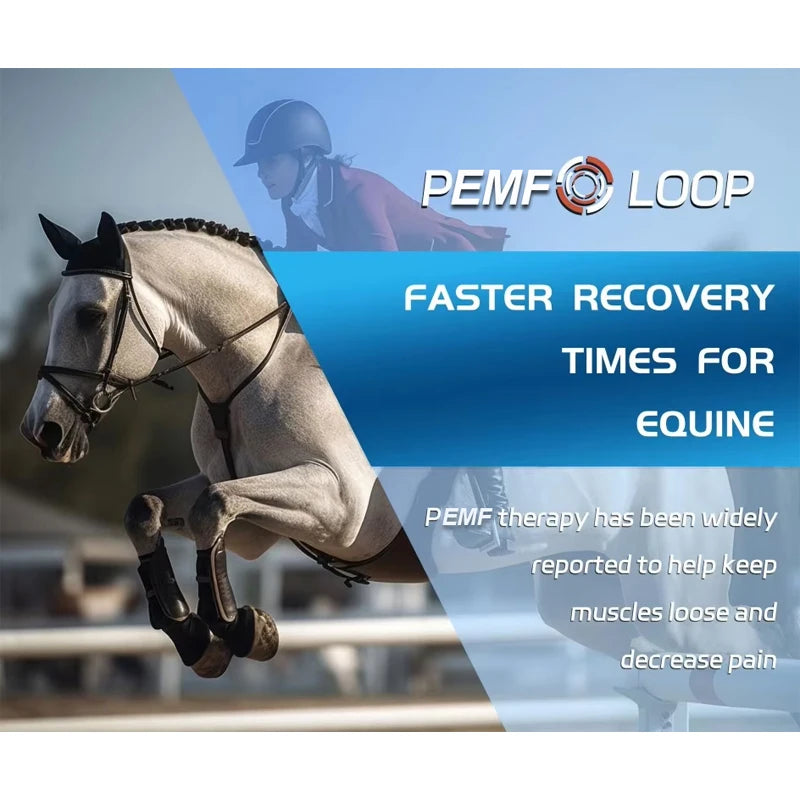 Honkay Portable Horse PEMF Device for Equine Therapy and Recovery