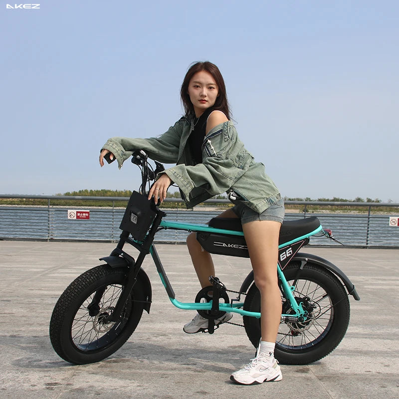 AKEZ 750W Retro Electric Bike With 48V 13Ah Battery Fat Tire For Adults Vintage Style