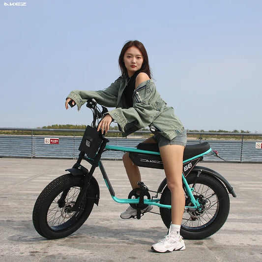 AKEZ 750W Retro Electric Bike With 48V 13Ah Battery Fat Tire For Adults Vintage Style