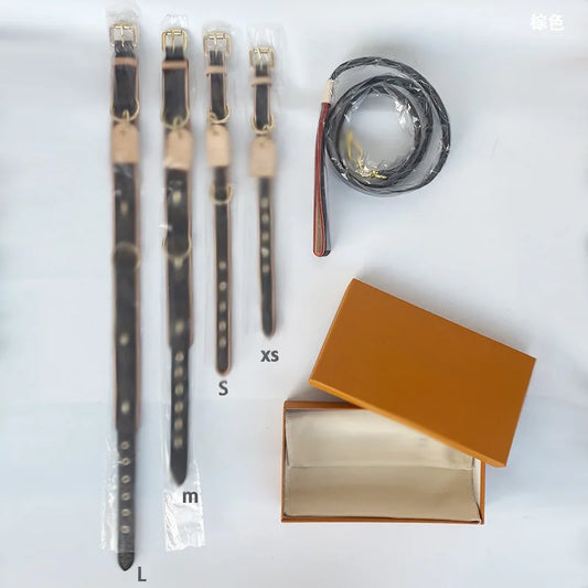 Premium Adjustable Collar and Leash Set for Tea Cup Dogs and Teddy Bears