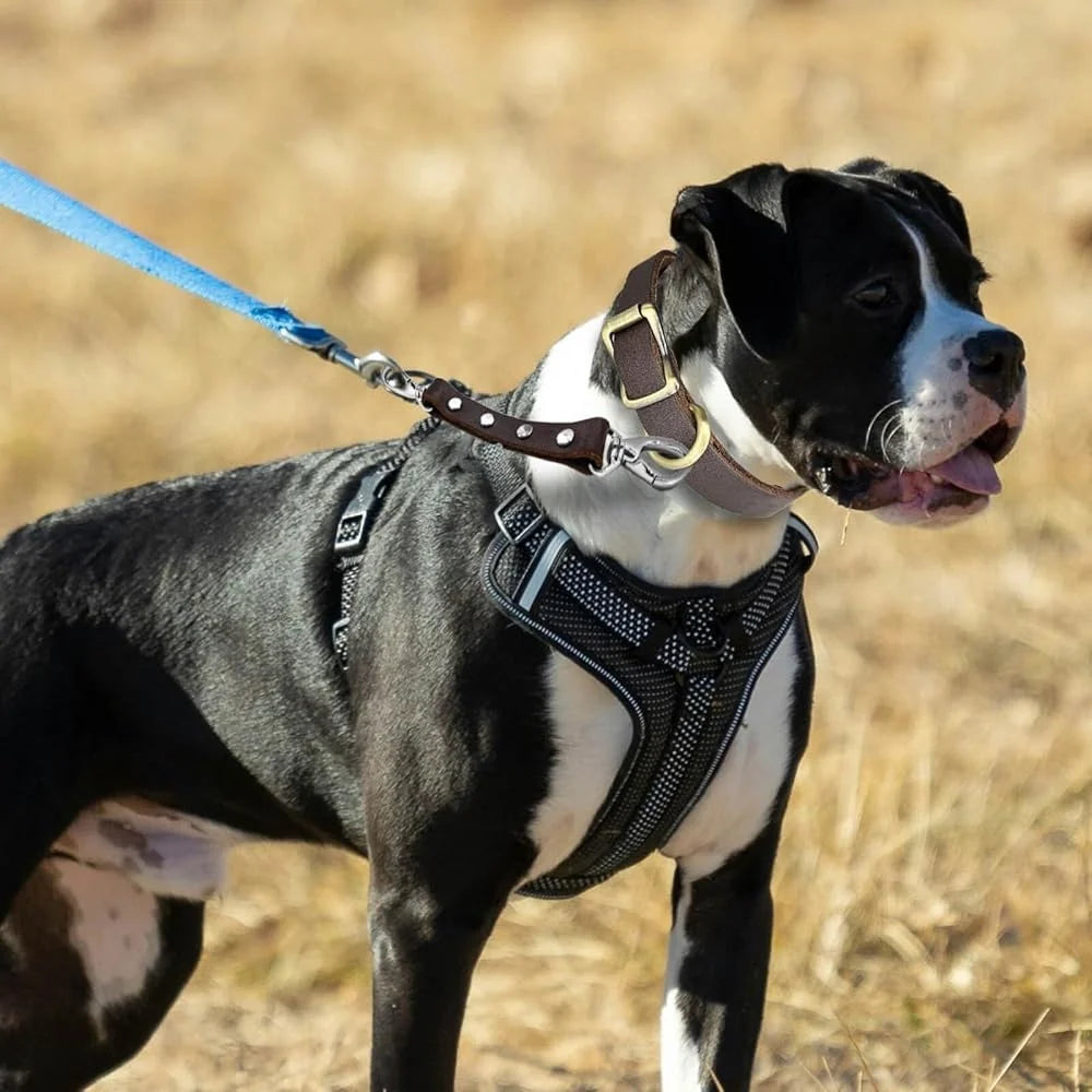 Durable Leather Dog Collar Clip Escape Proof Harness