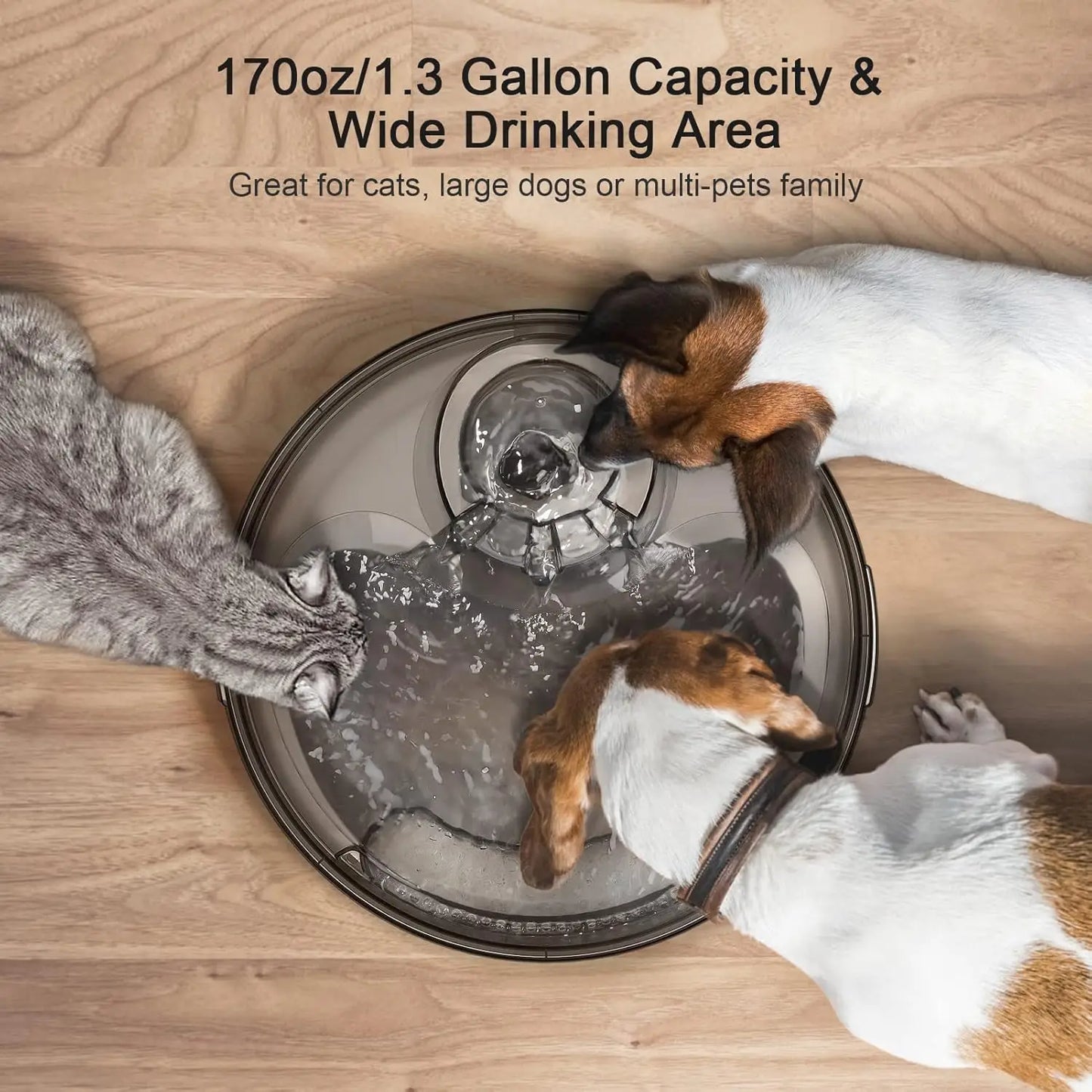 NPET DF10 Dog Water Fountain 170Oz 1.3Gal 5L Large Capacity