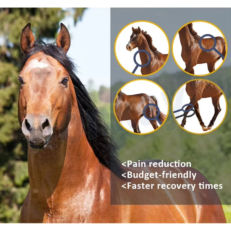 Honkay Portable Horse PEMF Device for Equine Therapy and Recovery