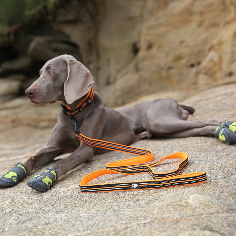 Winhyepet Dog Leash with Padded Handle Durable 200cm Luxury Leash for Small Medium Large Dogs Accessories