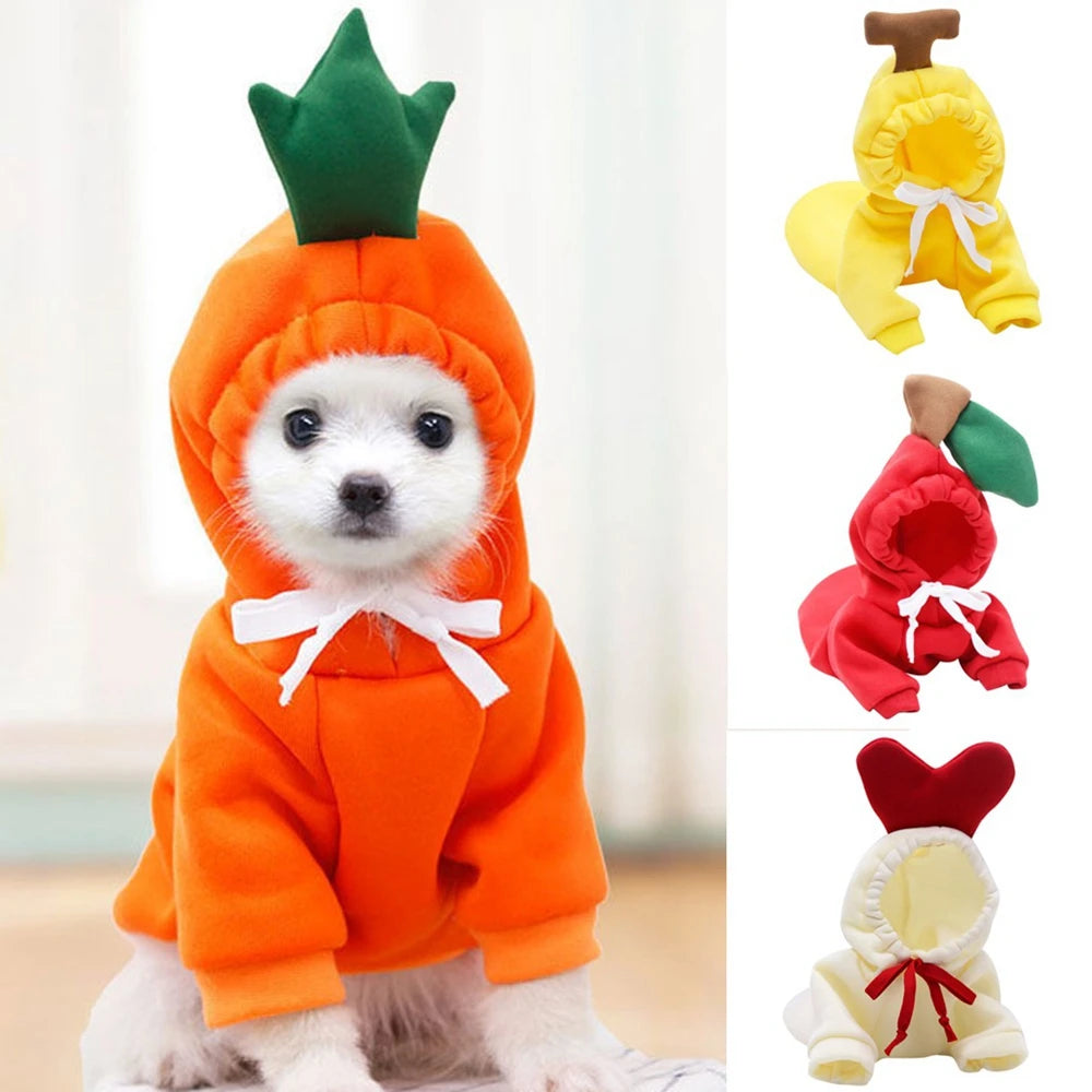 Fall Dog Hoodies Plush Coat For Small Dogs And Puppies