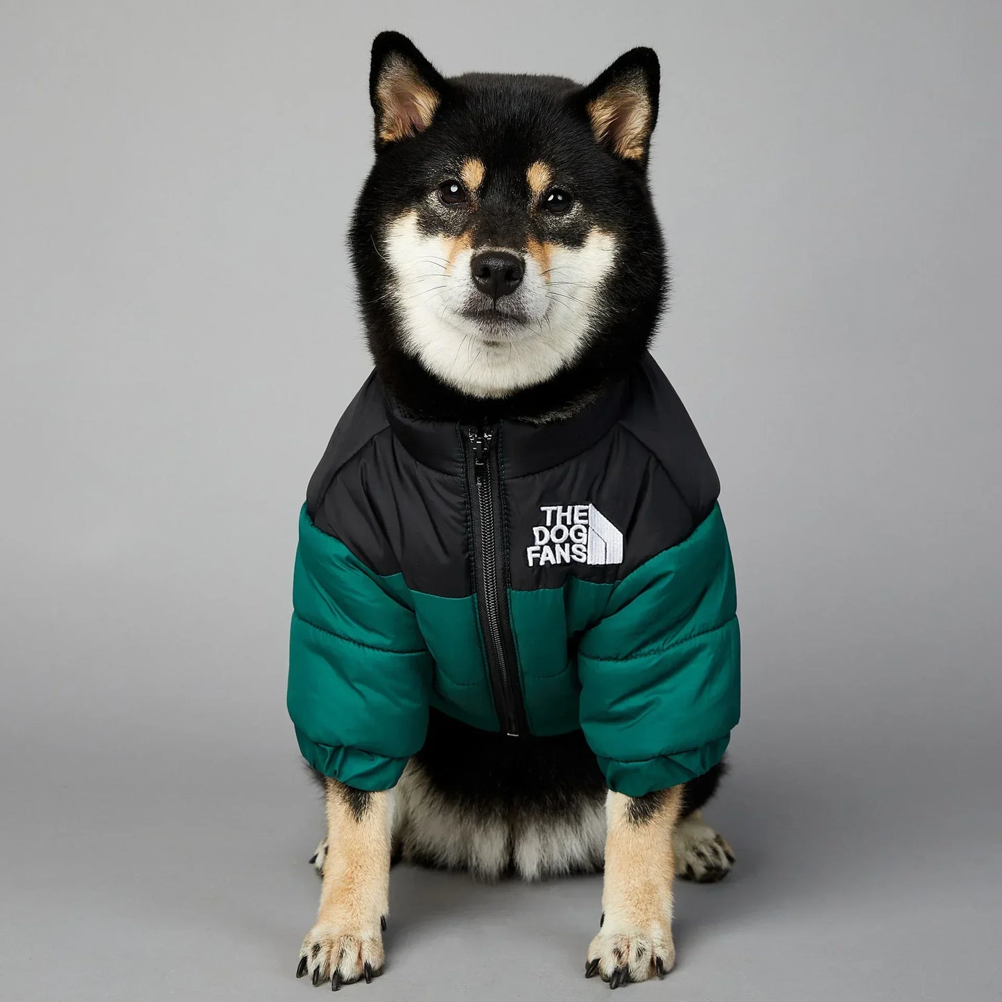 CN Zhejiang Winter Dog Down Jacket For Small Medium Dogs