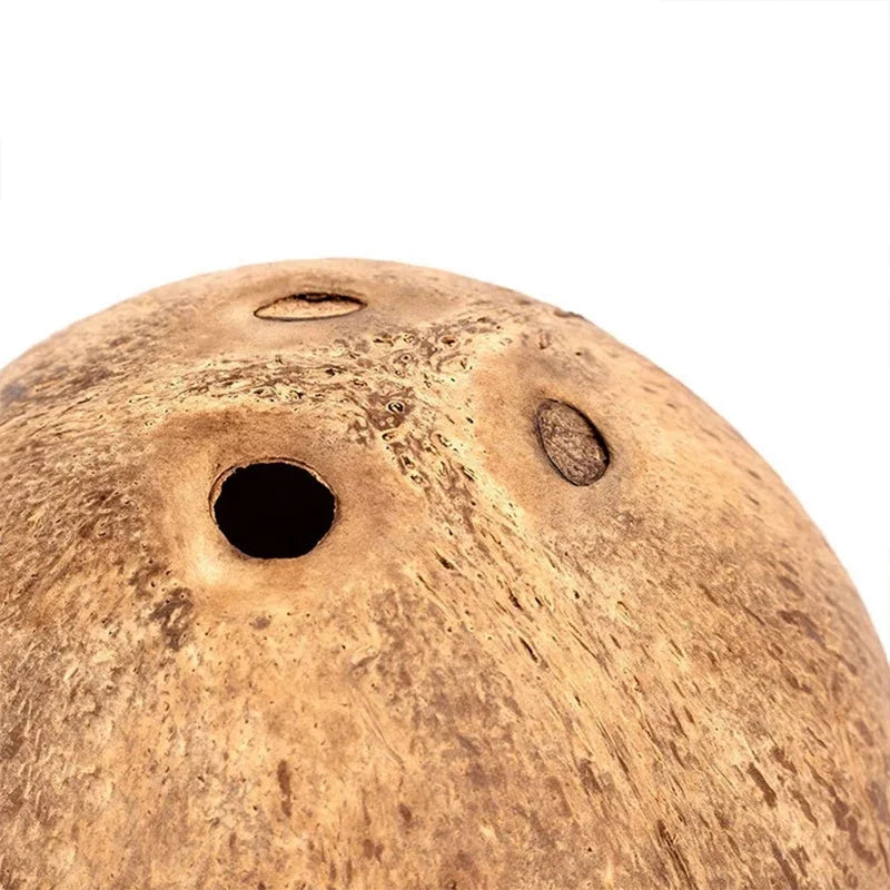 Hamster House Bite-resistant Natural Small Pet Coconut Cages Guinea-pig Hamster Hideout House Toy Wooden House Pet Supplies