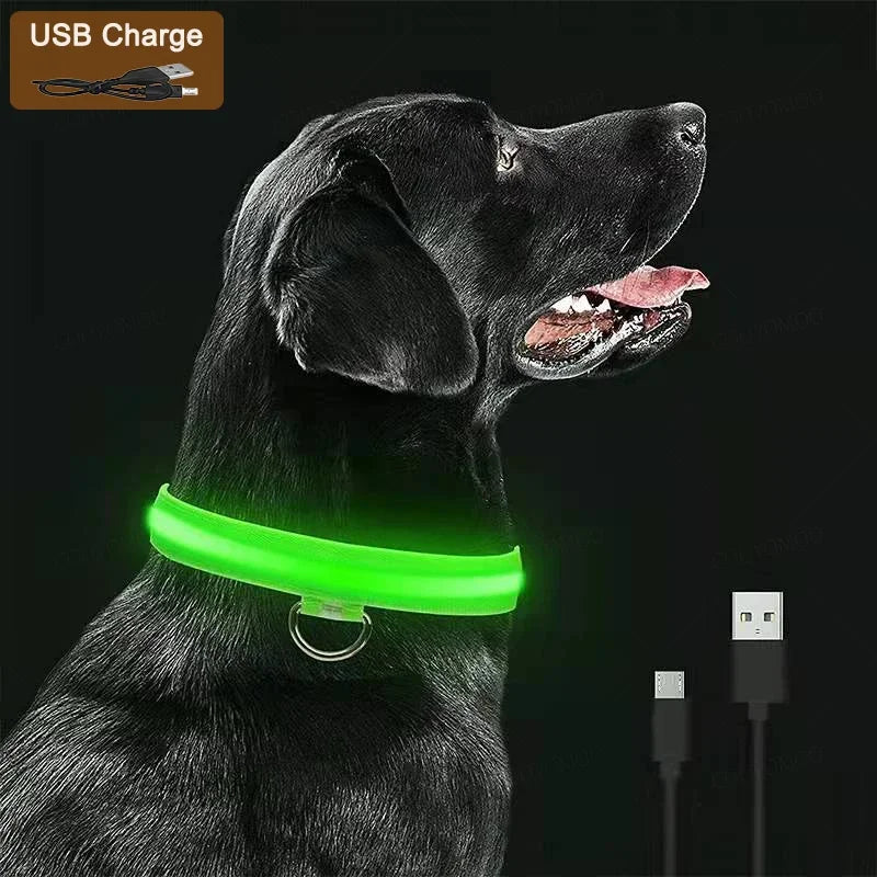 3 Modes Dog Luminous Charging Collar LED USB Detachable Night Glow Dog Loss Prevention Collar Pet Accessories