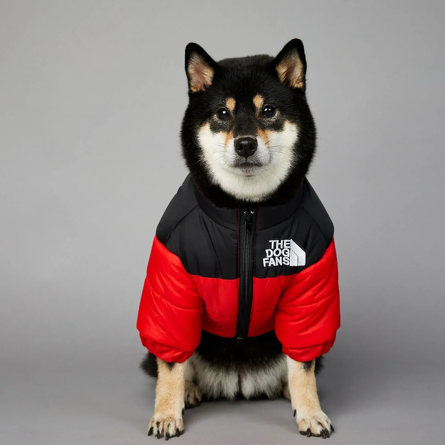 CN Zhejiang Winter Dog Down Jacket For Small Medium Dogs