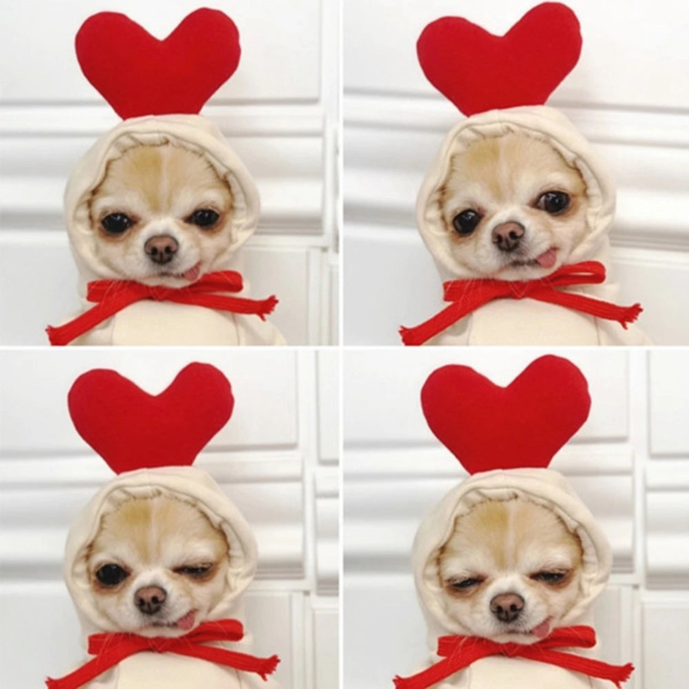 Fall Dog Hoodies Plush Coat For Small Dogs And Puppies