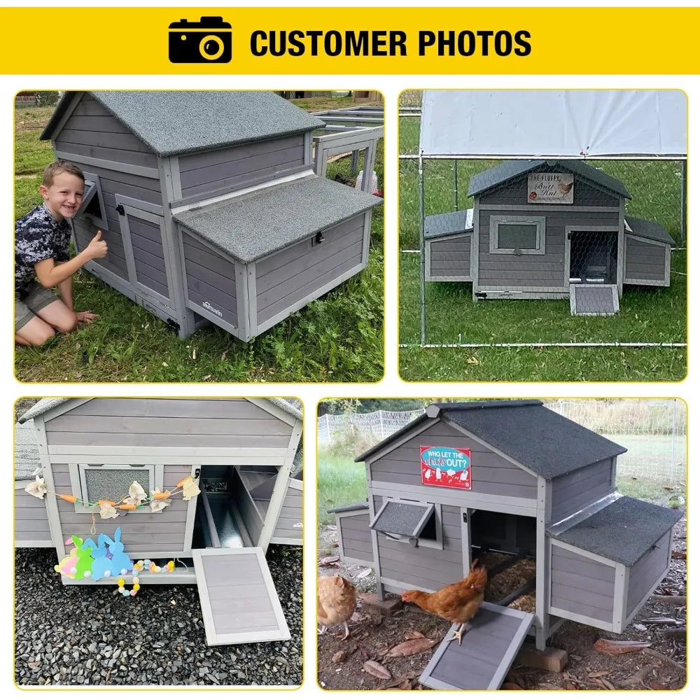 Chicken Coop With Dual Nesting Boxes For 4 To 6 Chickens