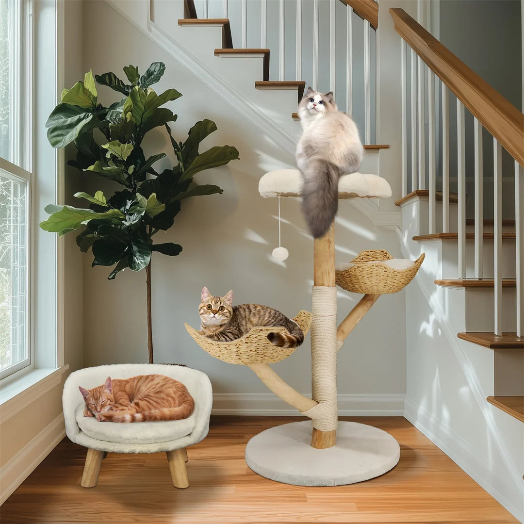 BINGOPAW Modern Cat Climbing Tree With Solid Wood Scratching Post