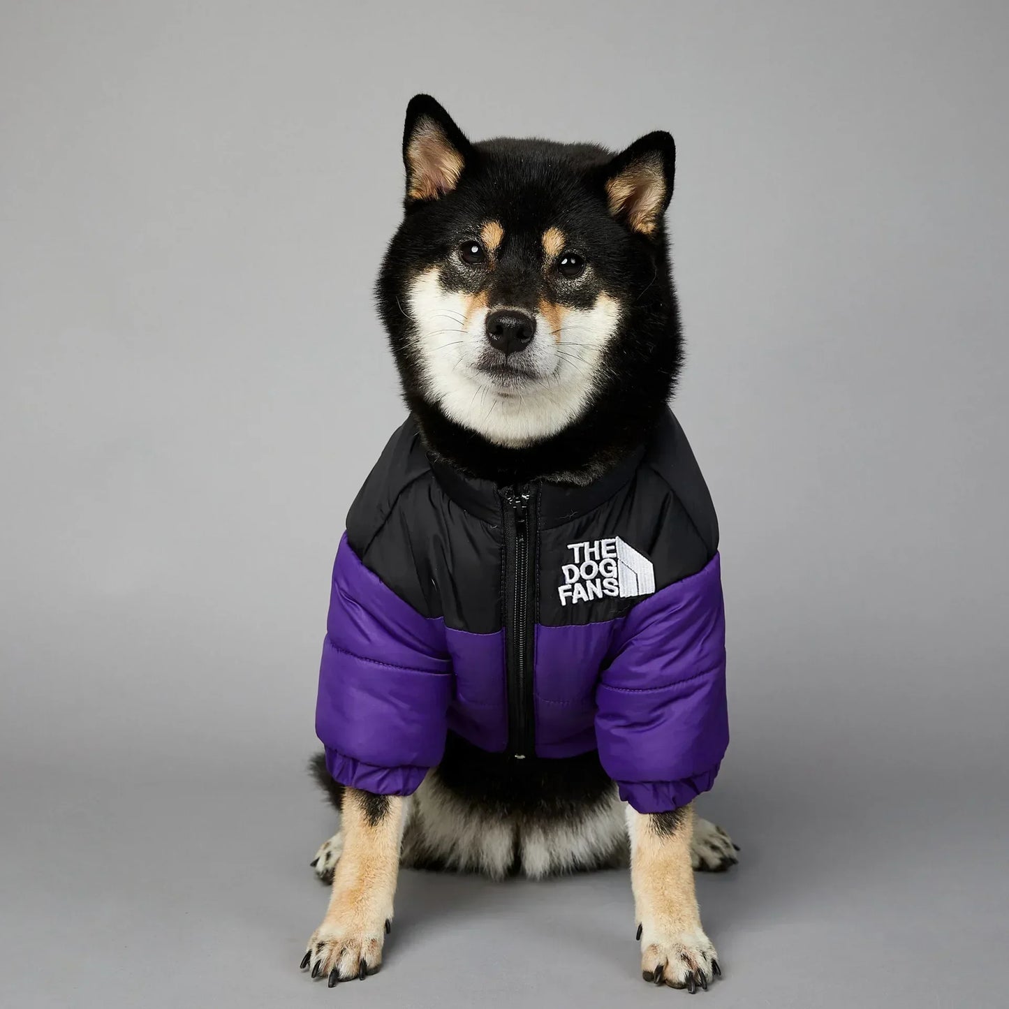 CN Zhejiang Winter Dog Down Jacket For Small Medium Dogs