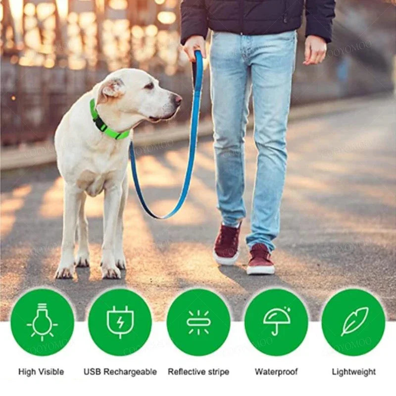 3 Modes Dog Luminous Charging Collar LED USB Detachable Night Glow Dog Loss Prevention Collar Pet Accessories