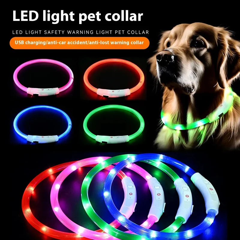 Led Dog Collar USB Rechargeable Luminous Pet Accessory with 3 Modes Glowing Light for Safety and Loss Prevention