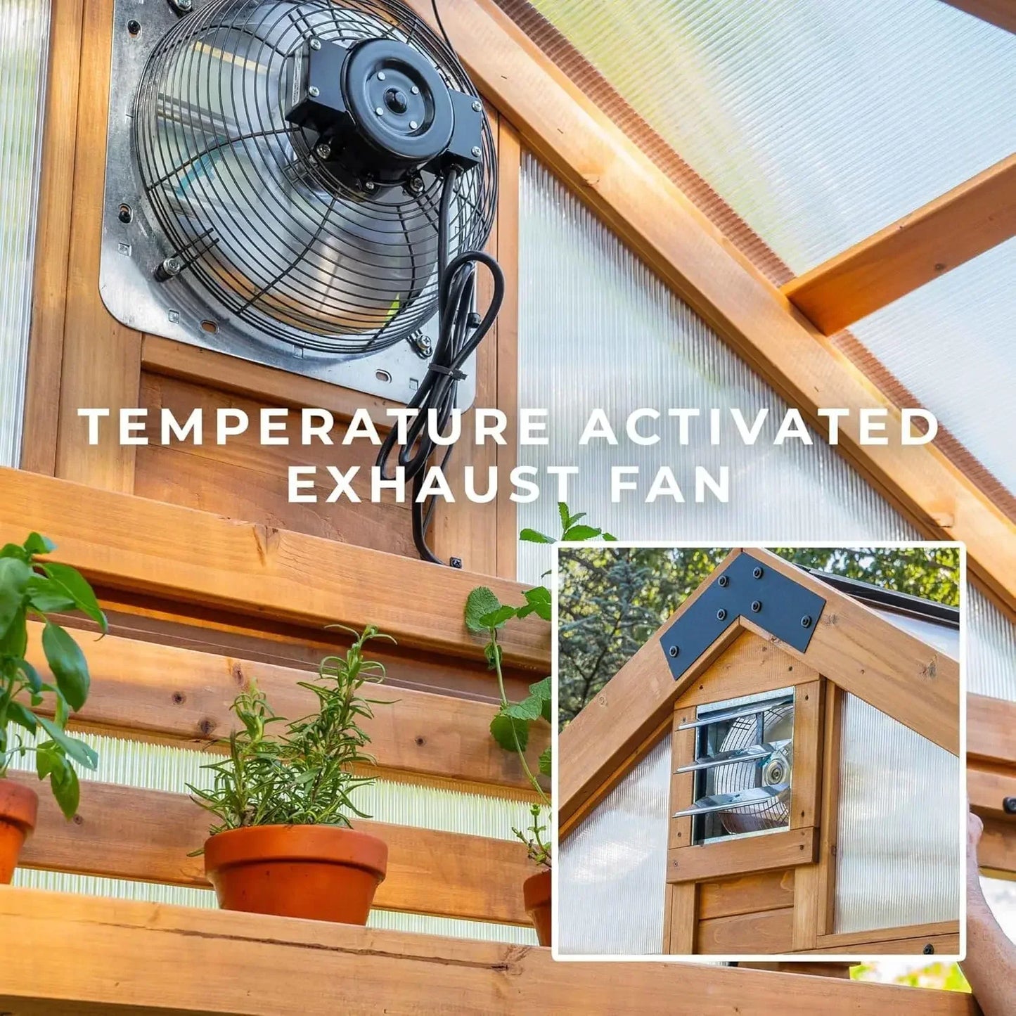 XL 13' x 11' Cedar Wood and Polycarbonate Walk-in Greenhouse Kit with Pergola, Exhaust Fan, Windows, Hose Hook-Ups, Po