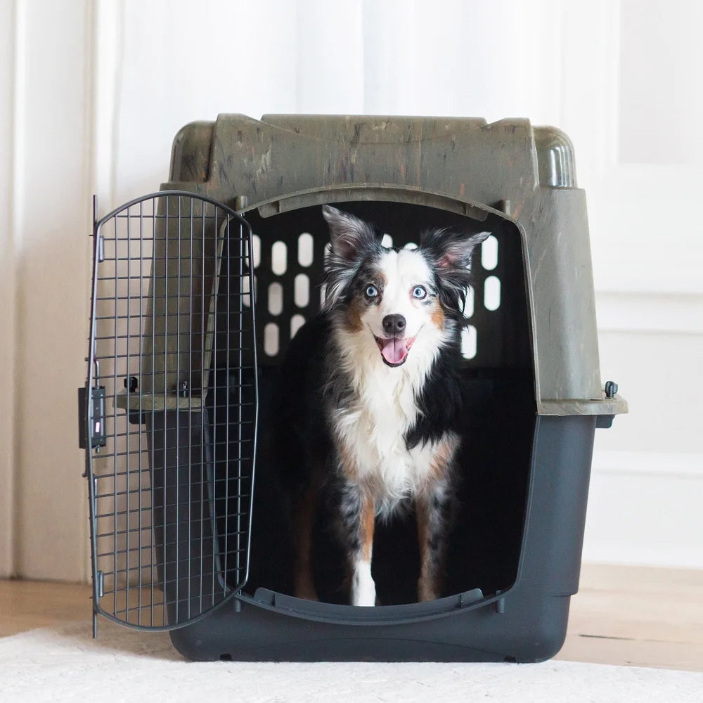 Large Plastic Dog Kennel Outdoor Indoor Pet Carrier Crate with 360 Degree Ventilation for Dogs 70 to 90 Pounds Portable Travel Dog House