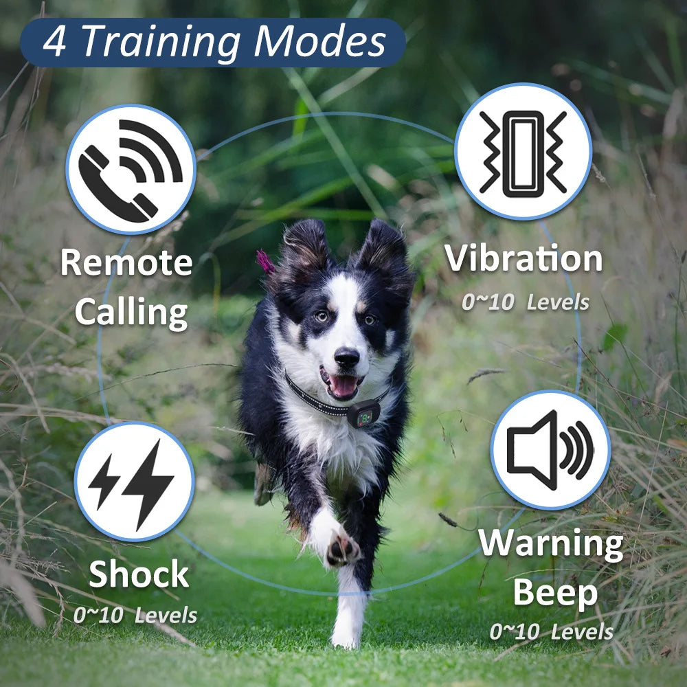 Dog Shock Collar  6500FT Training Collar Four Training Modes IPX7 Waterproof E Collar for Small Medium Large Dogs