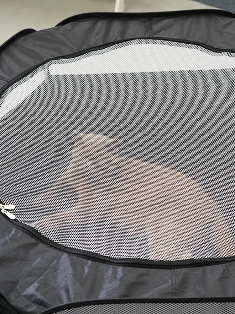 Cat Tunnel Foldable Two Piece Cage and Nest Toy for Pets